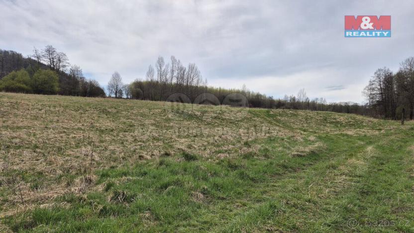 Prodej louky, Česká Kamenice - Dolní Kamenice, 22628 m2