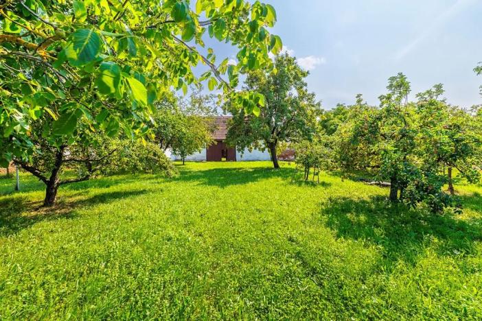 Prodej zemědělské usedlosti, Sedlec, 138 m2