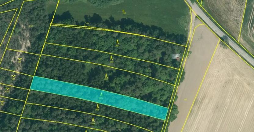 Prodej podílu lesa, Dříteň, 3282 m2
