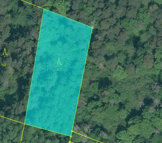 Prodej lesa, Dříteň, 4375 m2