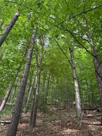 Prodej pozemku, Bohutín, 50672 m2