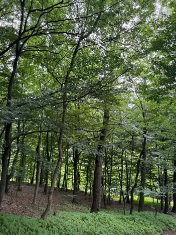 Prodej pozemku, Bohutín, 50672 m2