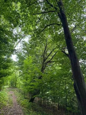 Prodej pozemku, Bohutín, 50672 m2