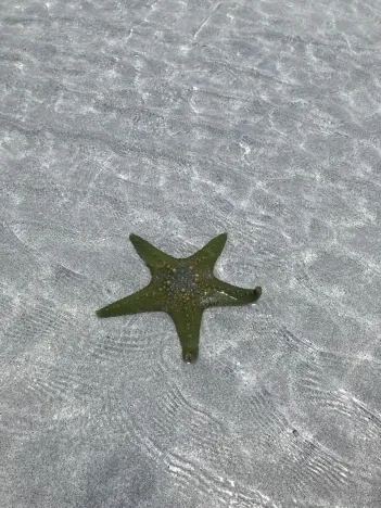 Prodej vily, Chwaka, Tanzanie, 115 m2