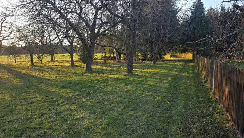 Prodej pozemku, Chocnějovice - Buda, 2533 m2