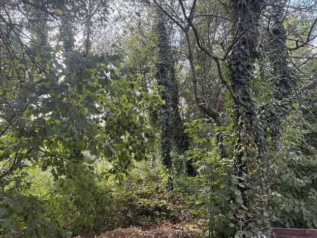Prodej pozemku pro bydlení, Kamenný Přívoz, 357 m2