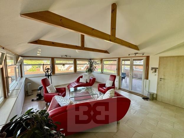 Pronájem bytu 4+kk, Velké Opatovice, Sokolská, 195 m2