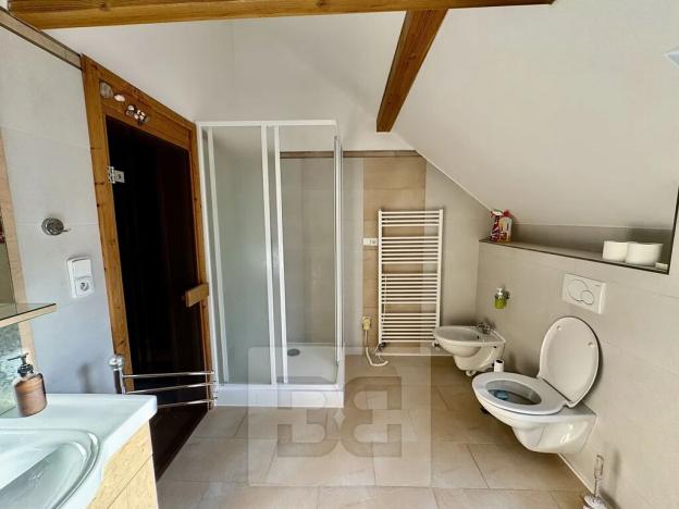 Pronájem bytu 4+kk, Velké Opatovice, Sokolská, 195 m2