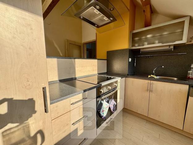 Pronájem bytu 4+kk, Velké Opatovice, Sokolská, 195 m2