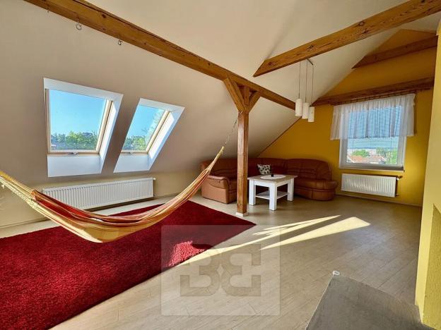 Pronájem bytu 4+kk, Velké Opatovice, Sokolská, 195 m2