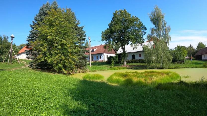 Prodej chalupy, Pecka, 300 m2