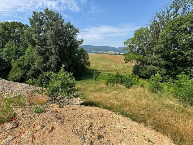 Prodej pozemku pro bydlení, Dlouhý Most, 4689 m2