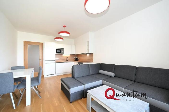 Pronájem bytu 2+kk, Praha - Holešovice, Argentinská, 50 m2
