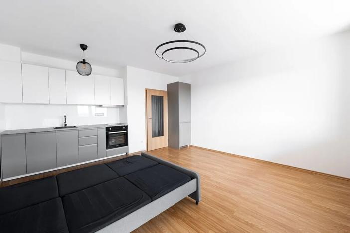 Pronájem bytu 1+kk, Praha - Michle, V dolině, 40 m2
