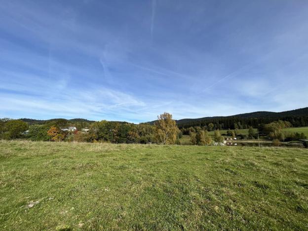 Prodej louky, Horní Planá - Pernek, 8530 m2