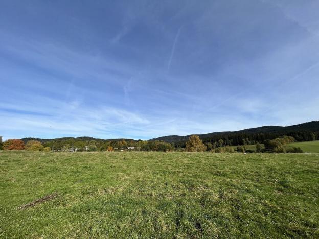 Prodej louky, Horní Planá - Pernek, 8530 m2