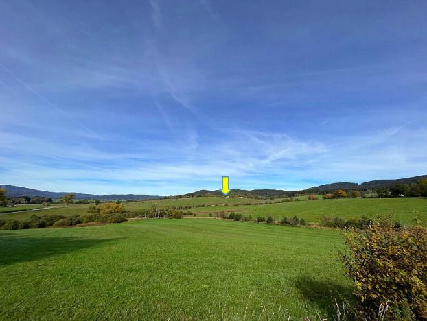 Prodej louky, Horní Planá - Pernek, 8530 m2