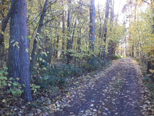 Prodej pozemku, Římov - Dolní Stropnice, 2102 m2