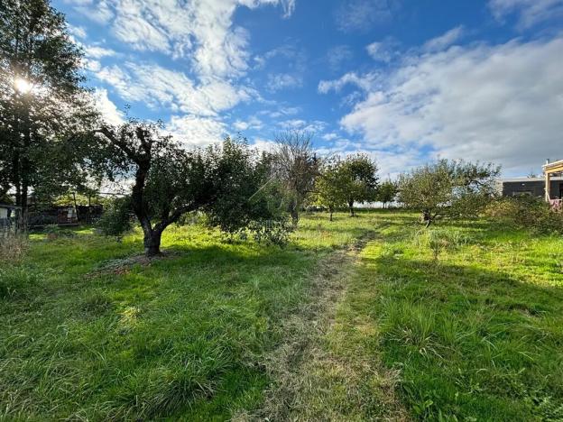 Prodej rodinného domu, Svojkovice, 70 m2