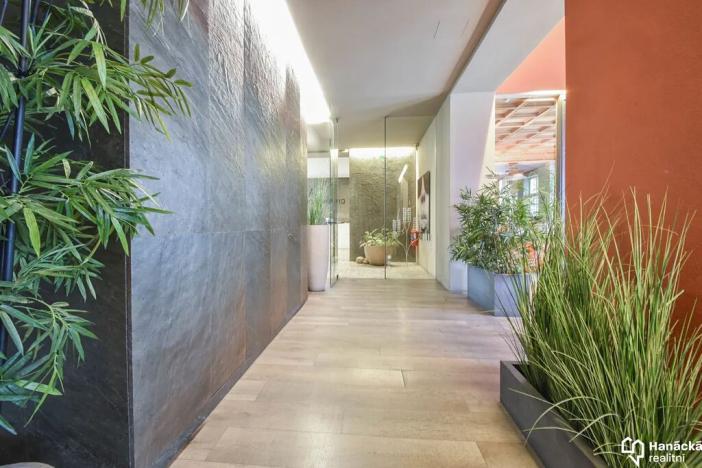 Pronájem kanceláře, Olomouc, tř. Svobody, 420 m2