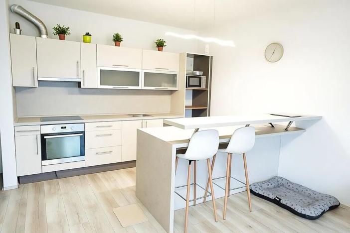 Pronájem bytu 2+kk, Mladá Boleslav, 79 m2