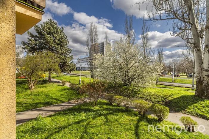 Prodej bytu 3+1, Praha - Kobylisy, Střelničná, 75 m2