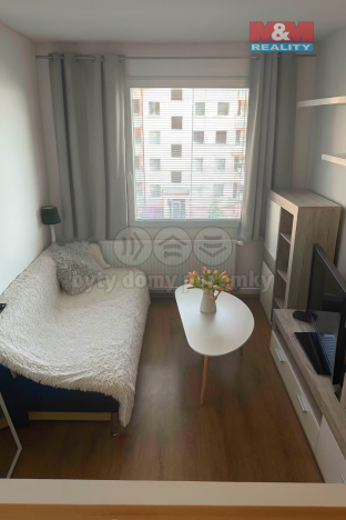 Pronájem bytu 1+kk, Plzeň, Krašovská, 30 m2