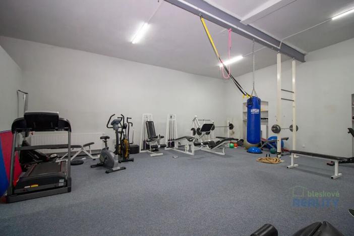 Pronájem skladu, Brandýs nad Labem-Stará Boleslav, Pražská, 92 m2