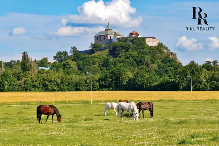 Prodej pozemku pro bydlení, Ráby, 981 m2