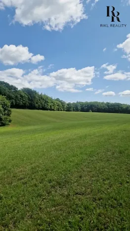 Prodej lesa, Bílá Lhota, 2912 m2