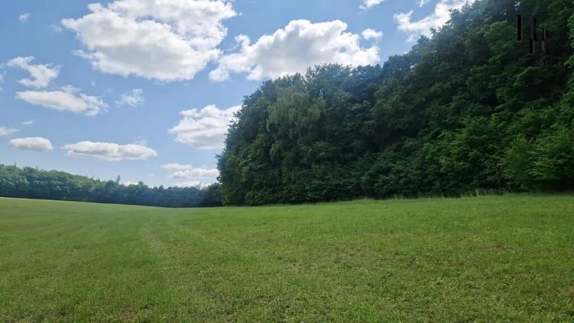 Prodej lesa, Bílá Lhota, 694 m2