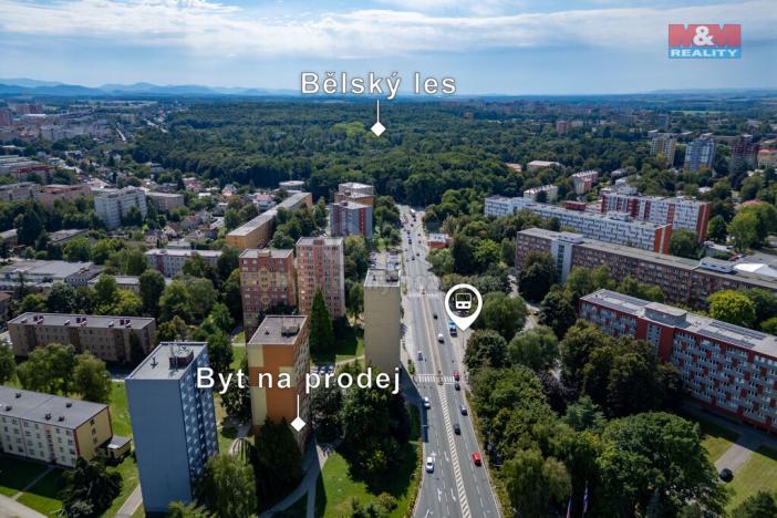 Prodej bytu 2+1, Ostrava - Hrabůvka, Plzeňská, 55 m2