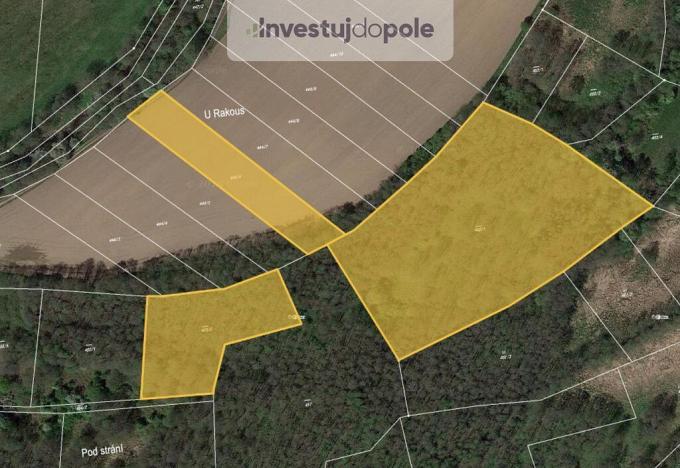 Prodej rybníku, Chlumec nad Cidlinou - Pamětník, 3126 m2