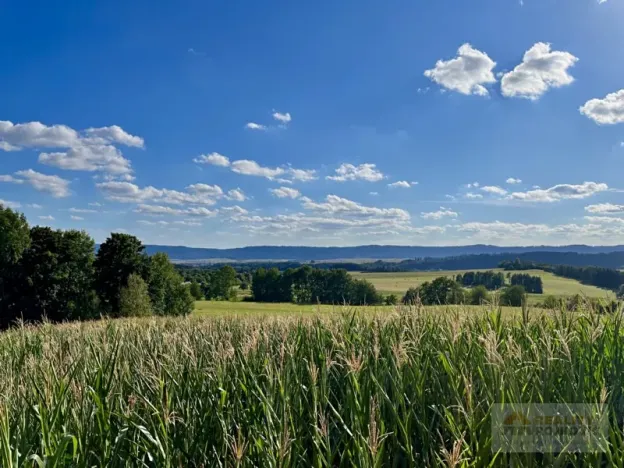 Prodej pozemku pro bydlení, Broumov, 3146 m2