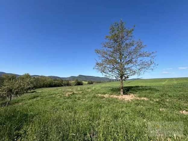 Prodej rodinného domu, Božanov, 70 m2