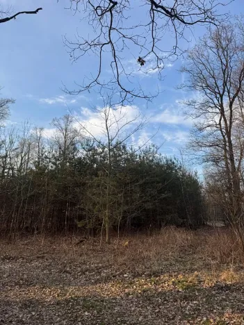 Prodej pozemku, Stéblová, 8147 m2