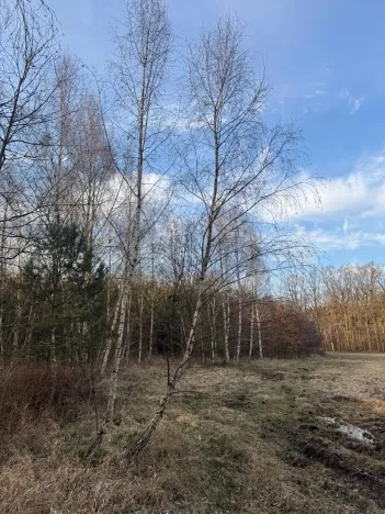 Prodej pozemku, Stéblová, 8147 m2