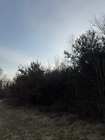 Prodej pozemku, Stéblová, 8147 m2