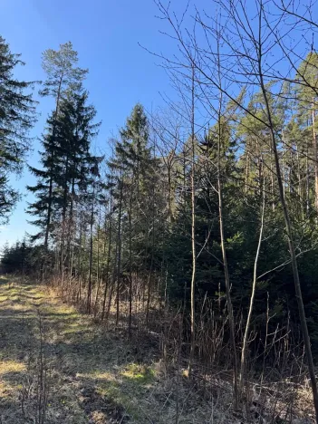 Prodej lesa, Sedlečko u Soběslavě, 6708 m2