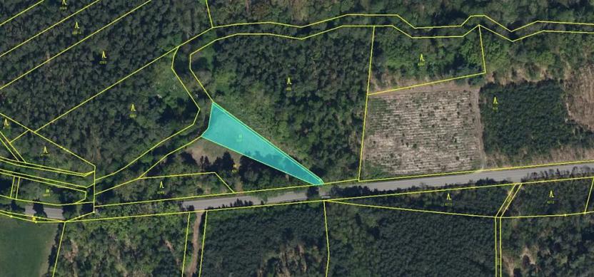 Prodej podílu lesa, Břehy, 5148 m2