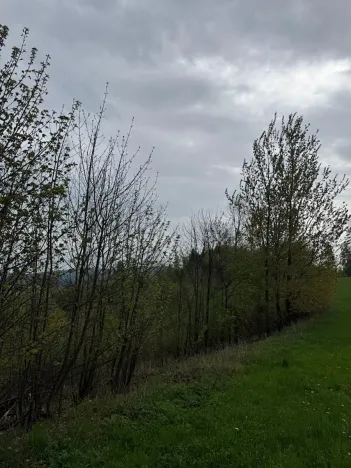 Prodej lesa, Bukovina u Čisté, 12070 m2