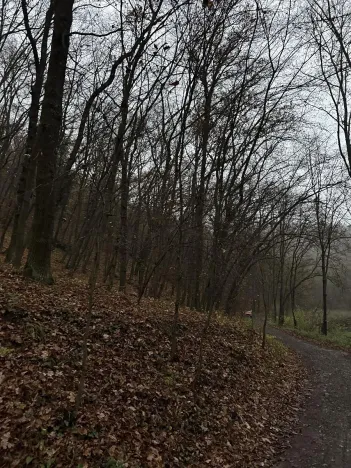 Prodej podílu lesa, Praha, 4596 m2