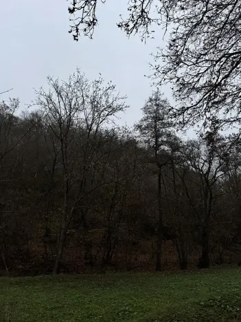 Prodej podílu lesa, Praha, 4596 m2