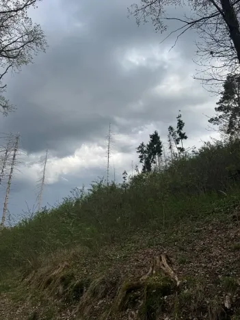 Prodej pozemku, Boršov nad Vltavou, 7673 m2