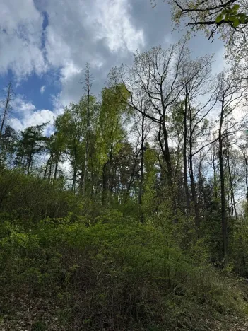 Prodej pozemku, Boršov nad Vltavou, 7673 m2