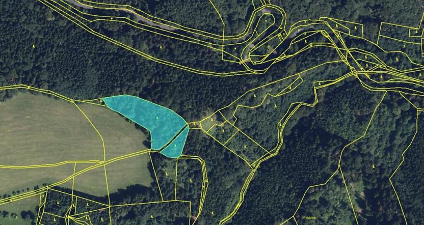 Prodej lesa, Zborov, 6700 m2