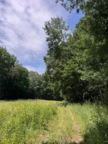 Prodej pozemku, Třeboň, 9529 m2