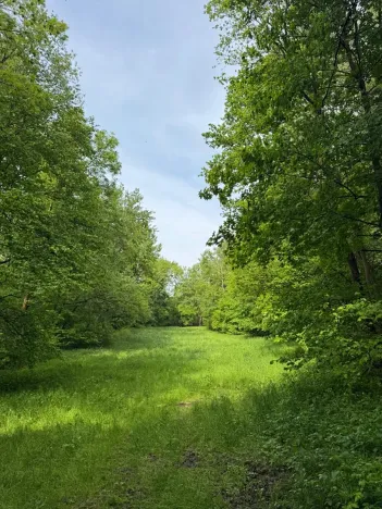 Prodej pozemku, Český Dub, 25179 m2