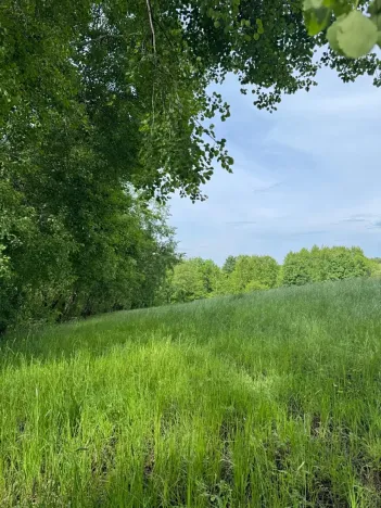 Prodej pozemku, Český Dub, 25179 m2