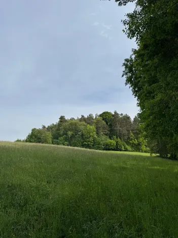 Prodej pozemku, Český Dub, 25179 m2